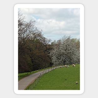 Fawsley Countryside Northamptonshire Sticker